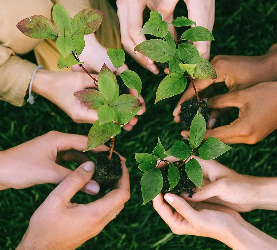 We Care about Sustainability